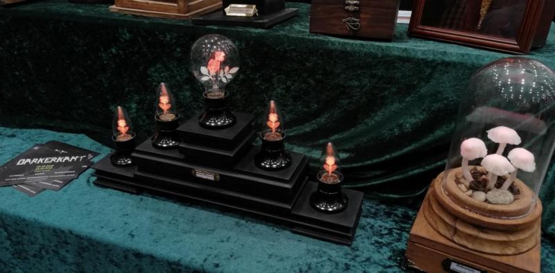 Leuchtende Blüten.JPG