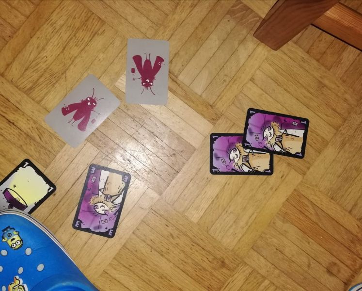 Mogel Motte Begabungsblick 2.jpeg