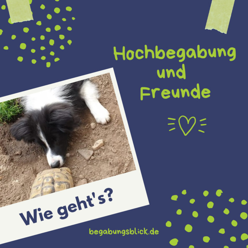 Read more about the article Hochbegabung und Freundschaften ein Problem?