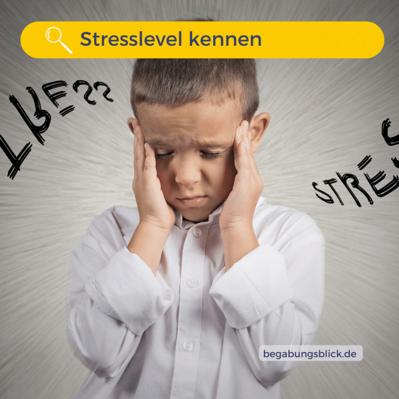 Stress wirkt sich auf die Leistungsfähigkeit aus - da hilft auch ein hoher IQ nicht, wenn Überlastung nicht abgestellt wird.