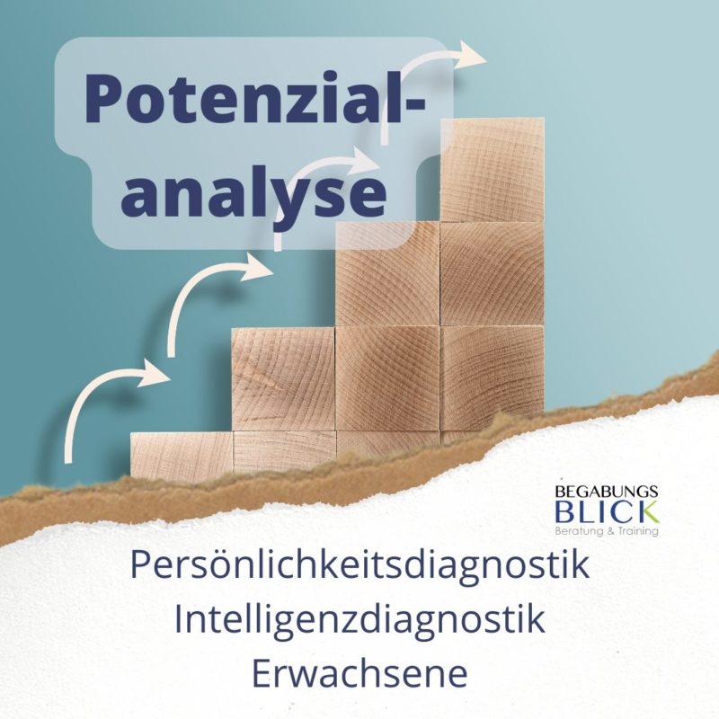 Potenzialanalyse - Begabungsblick