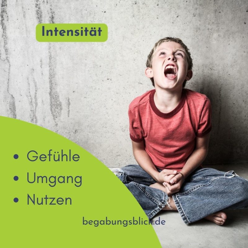 Read more about the article Umgang mit Gefühlen hochbegabter Kinder