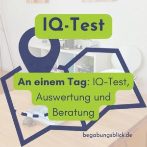 IQ Test als Standortbestimmung an einem Tag. Diagnostik, Auswertung und Beratung.