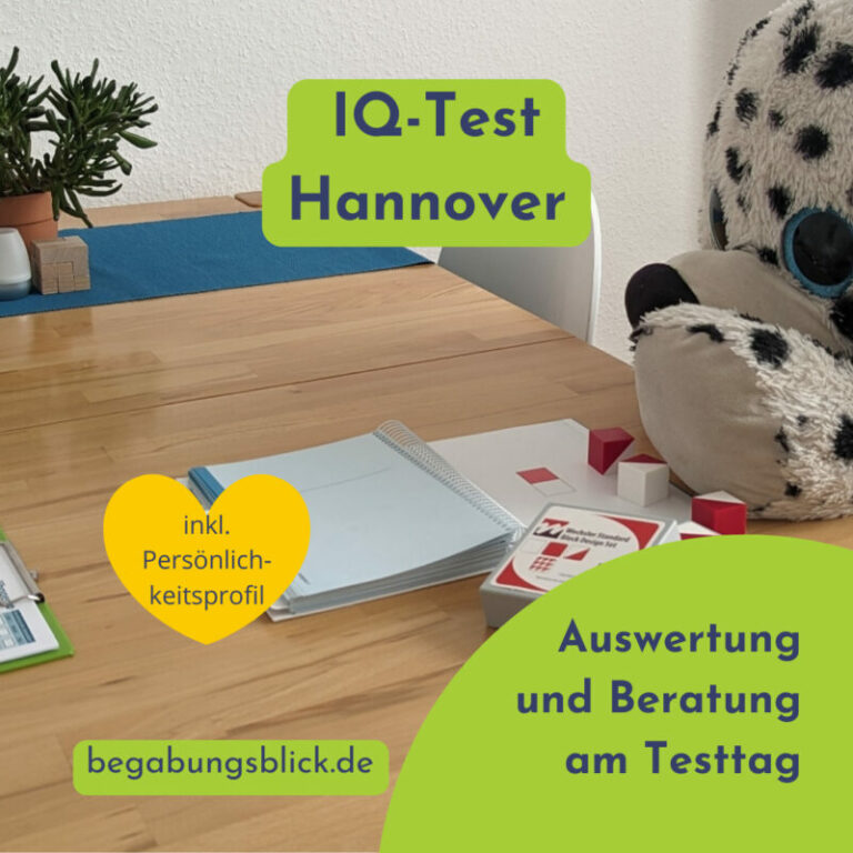 IQ-Test für Kinder und Jugendliche mit Persönlichkeitsdiagnostik oder Diagnostik Lernkompetenz.