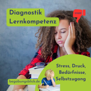 Diagnostik Lernkompetenz LK Woo Stress, Druck, Bedürfnisse, Selbstberuhigung.