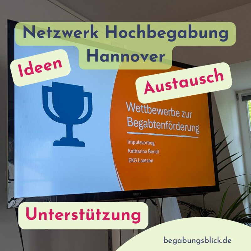 2025 Rückblick Begabungsblick Netzwerk Hochbegabung Hannover mit Lehrkräften, Therapeuten und Fachpersonen im Begabungsblick.