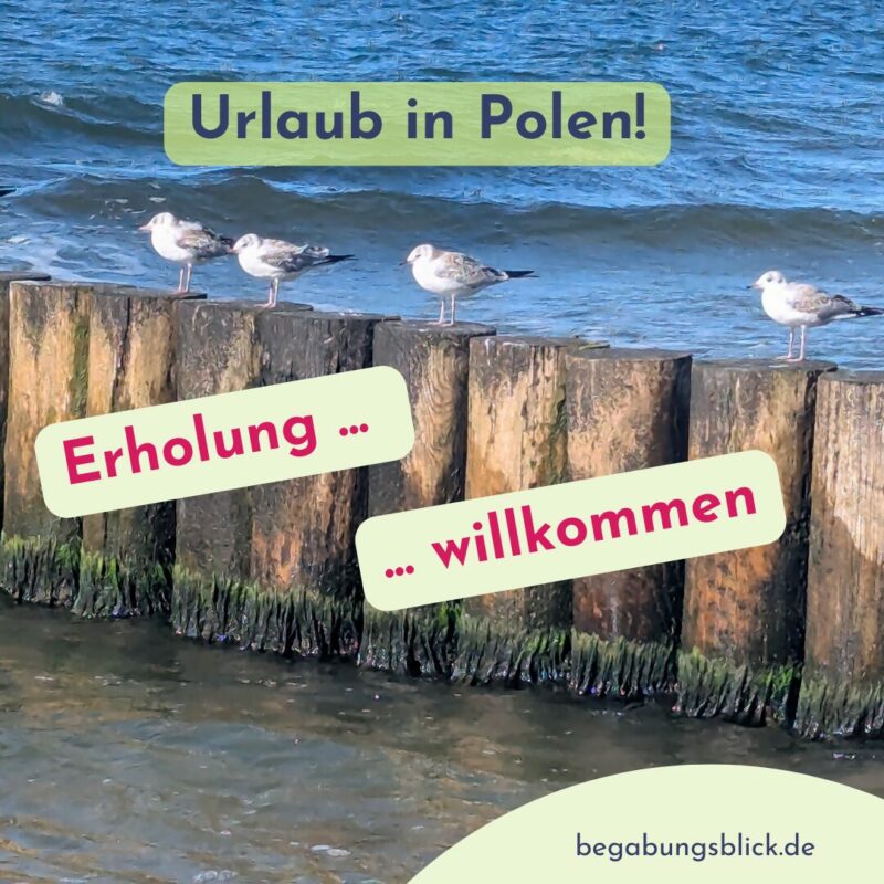 2025 Rückblick Begabungsblick mein Urlaub in Polen