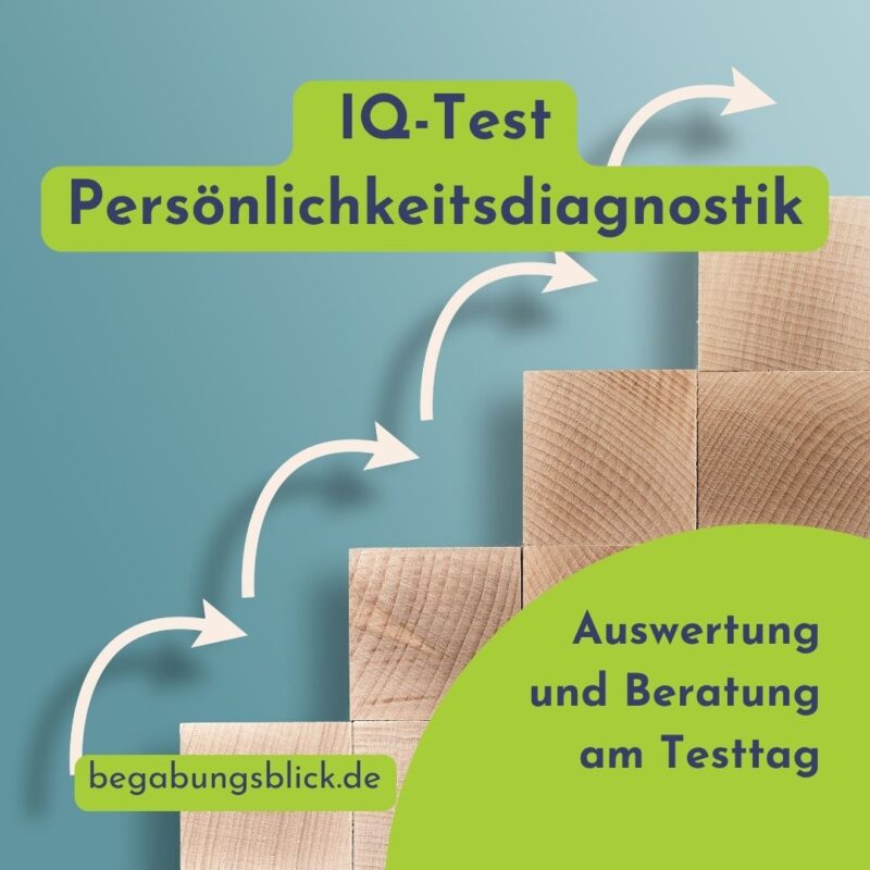 IQE IQ-Test und Persönlichkeitsdiagnostik TOP für Erwachsene im Begabungsblick. Unterlagen zum Download.