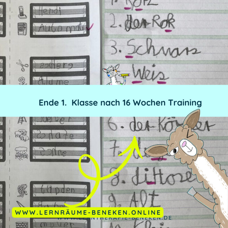 Ein Handschrifttraining kann bereits früh ansetzen. So können Schülerinnen und Schüler sich bereits im ersten Schuljahr als kompetent in Bezug auf das Schreiben erleben.